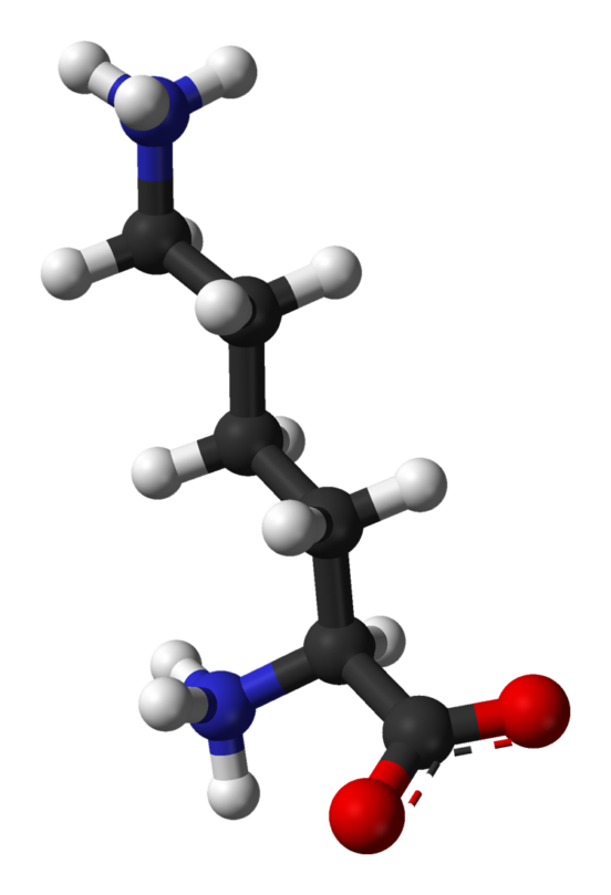 Lysine